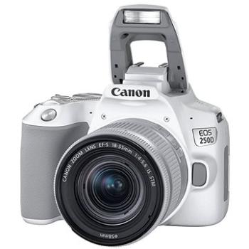 Canon EOS 250D biely + 18–55 mm IS STM (3458C001)