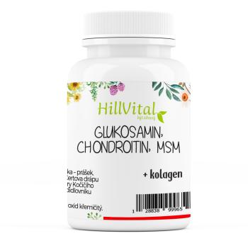 HillVital | Glukozamín, MSM, Chondroitín - kĺbová výživa 60 ks