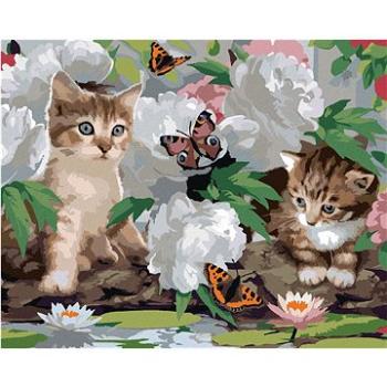 Maľovanie podľa čísel – Mačky, motýliky a biele pivonky (Howard Robinson) (HRAbz33433nad)