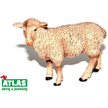 Atlas Ovca (8590331018611)
