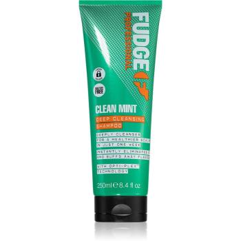 Fudge Clean Mint Shampoo šampón na mastné vlasy 250 ml