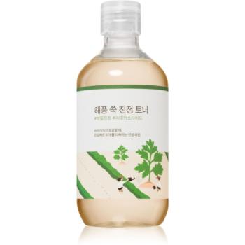 ROUND LAB Mugwort Calming Toner upokojujúce pleťové tonikum 300 ml