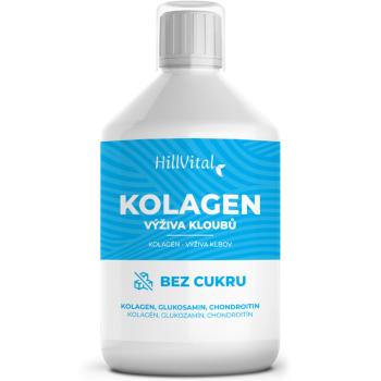 HillVital Tekutý Kolagén 500 ml