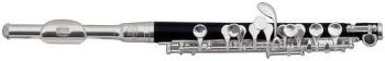 GEWA Piccolo flute Roy Benson PC-502 PC-502