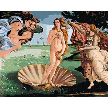 Maľovanie podľa čísel - Zrodenie Venuše (S. Botticelli) (HRAbz33420nad)