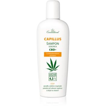 Cannaderm Seborea CBD+ šampón proti lupinám 150 ml