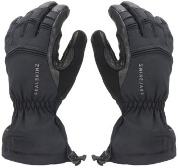 Sealskinz Waterproof Extreme Cold Weather Gauntlet Gloves Black L