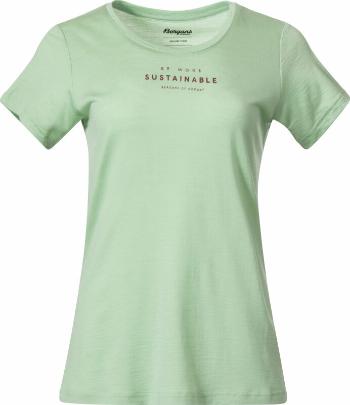 Bergans Graphic Wool Tee Women Light Jade Green/Chianti Red XS