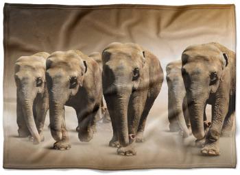 Deka Slony v púšti  (Rozmer: 200 x 140 cm, Podšitie baránkom: NE)