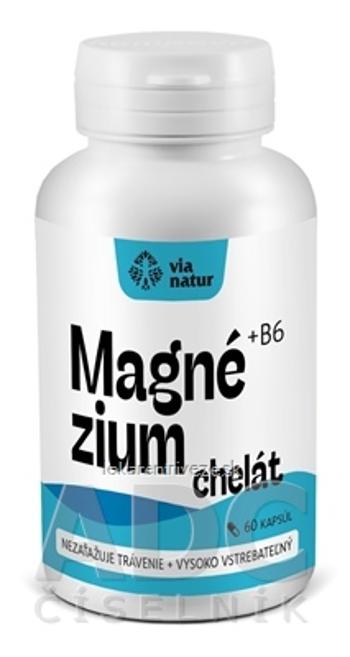 Via natur Magnézium chelát + vitamín B6 cps 1x60 ks