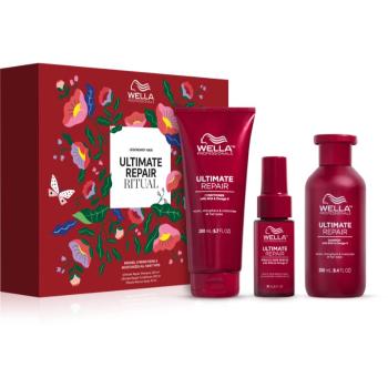 Wella Professionals Ultimate Repair Set darčeková sada Spring(pre poškodené vlasy)