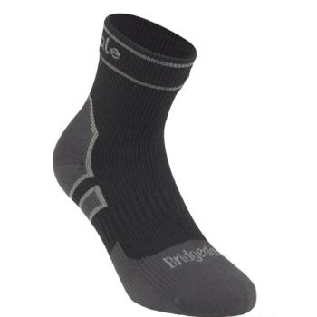 Ponožky Bridgedale Storm Sock LW Ankle black/845 3,5-6