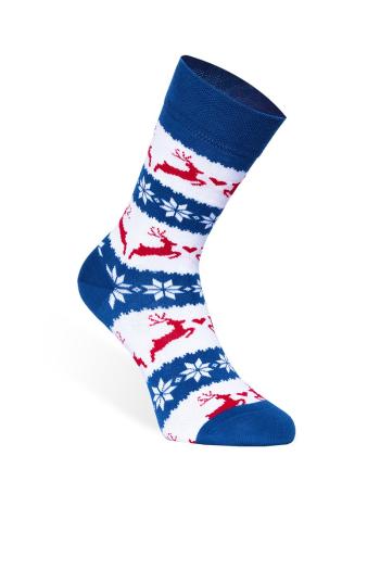Modro-biele ponožky Nordic