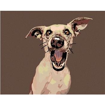 Maľovanie podľa čísel – Prekvapený pes (HRAmal00770nad)