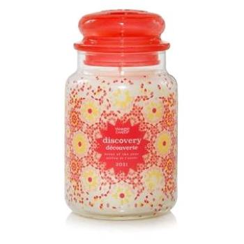 YANKEE CANDLE Soty 2021 623 g (5038581122366)