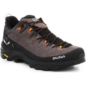 Salewa  Alp Trainer 2 Gore-Tex® Men's Shoe 61400-7953  Turistická obuv Viacfarebná