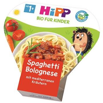 HiPP BIO Bolonské špagety 6× 250 g (4062300255067)