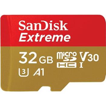 SanDisk MicroSDHC 32 GB Extreme Mobile Gaming (SDSQXAF-032G-GN6GN)