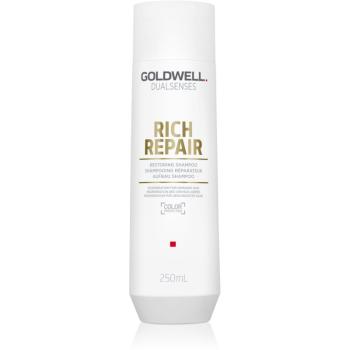 Goldwell Dualsenses Rich Repair obnovujúci šampón pre suché a poškodené vlasy 250 ml
