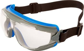 3M Goggle Gear 500 GG501NSGAF-BLU uzatvorené ochranné okuliare vr. ochrany proti zahmlievaniu modrá, sivá DIN EN 166