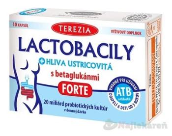 Terezia Company Hliva Ustricová + lactobacily 10 kapsúl