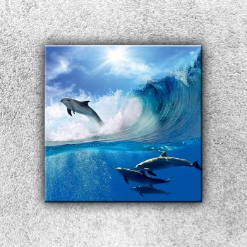 Foto na plátno Delfíny vo vlne 30x30 cm 