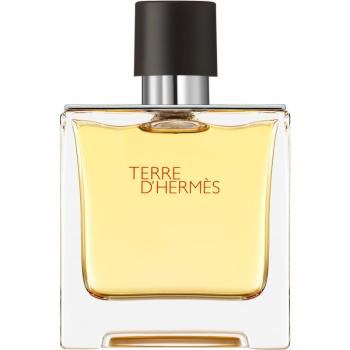 HERMÈS Terre d’Hermès parfém pre mužov 75 ml