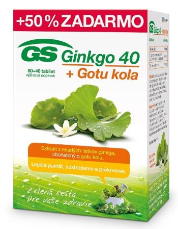 GS Ginkgo 40 + Gotu kola 120 tabliet