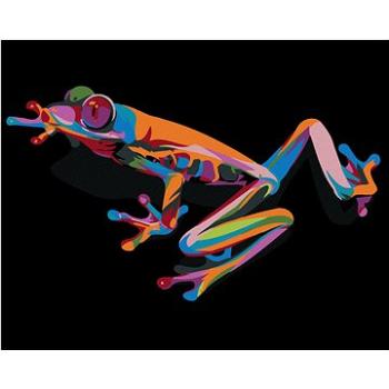 Maľovanie podľa čísel – Farebná žabka (HRAmal00487nad)