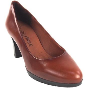 Desiree  Univerzálna športová obuv Dámska topánka  four 8 kožená  Hnedá
