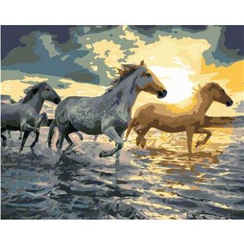 Maľovanie podľa čísiel – Kone vo vode (HRAbz33180nad)