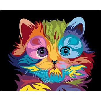 Maľovanie podľa čísel – Farebné mačiatko (HRAmal00692nad)