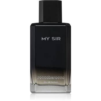 Roccobarocco My Sir parfumovaná voda pre mužov 100 ml