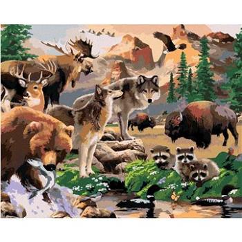 Maľovanie podľa čísel – Divoké zvieratá v údolí (Howard Robinson) (HRAbz33428nad)