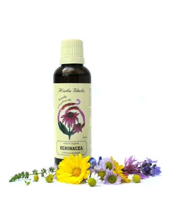Tinktúra, kvapky z byliny Echinacea purpurová HERBA VITALIS 50 ml