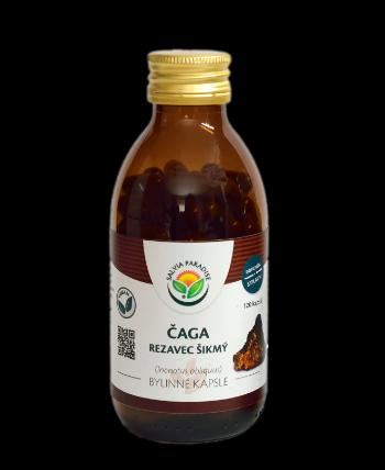 Salvia Paradise Čaga - chaga - rezavec šikmý 120 kapsúl
