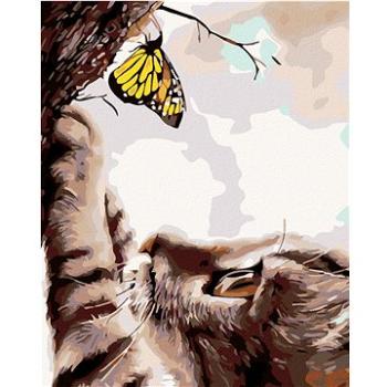 Maľovanie podľa čísel – Mačka a žltý motýľ (HRAmal01118nad)