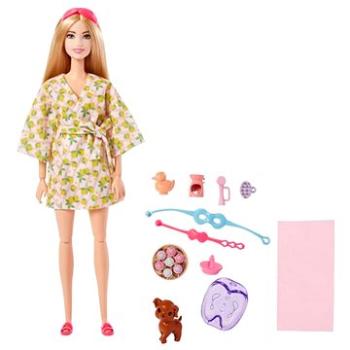 Barbie Wellness Bábika – V Kúpeľoch (194735108176)