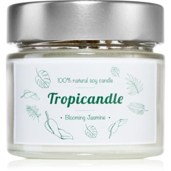 Tropicandle Blooming Jasmine vonná sviečka 150 ml