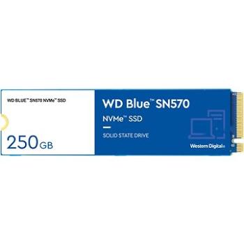 WD Blue SN570 250 GB (WDS250G3B0C)