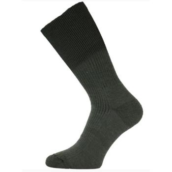 Ponožky Lasting WRM 609 zelené XL (46-49)