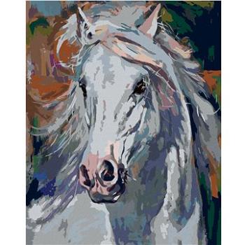 Maľovanie podľa čísiel – Biely kôň s vzdušnou hrivou (HRAbz33384nad)