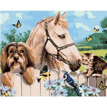 Maľovanie podľa čísel – Pes, kôň a mačiatko (Howard Robinson) (HRAbz33380nad)