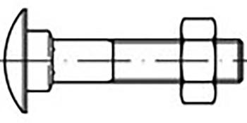 TOOLCRAFT  TO-6855735 skrutky s plochou guľatou hlavou M5 30 mm  DIN 603   ocel pozinkované 100 ks