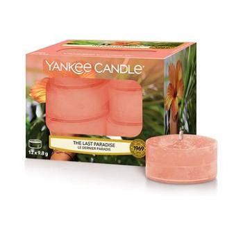 YANKEE CANDLE The Last Paradise 12× 9,8 g (5038581111117)