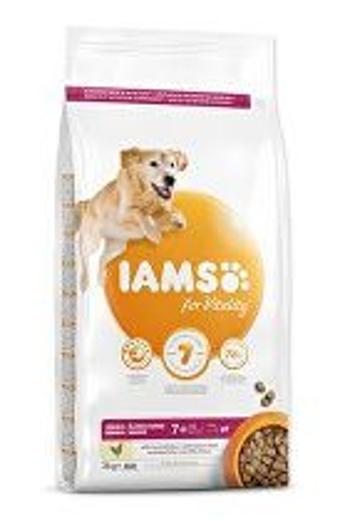 Iams Dog Senior Large Chicken 3kg