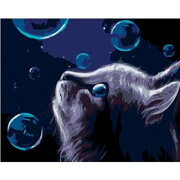 Maľovanie podľa čísel – Mačka a bubliny v noci (HRAmal00682nad)