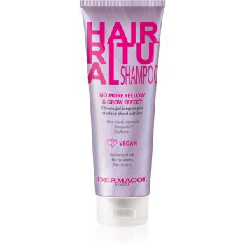 Dermacol Hair Ritual obnovujúci šampón pre studené odtiene blond 250 ml