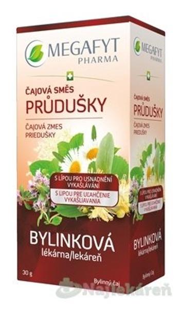 MEGAFYT Bylinková lekáreň Čajová zmes PRIEDUŠKY, 20x1,5 g