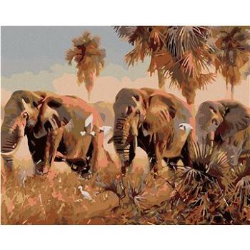 Maľovanie podľa čísel – Slony na savane (HRAmal00279nad)